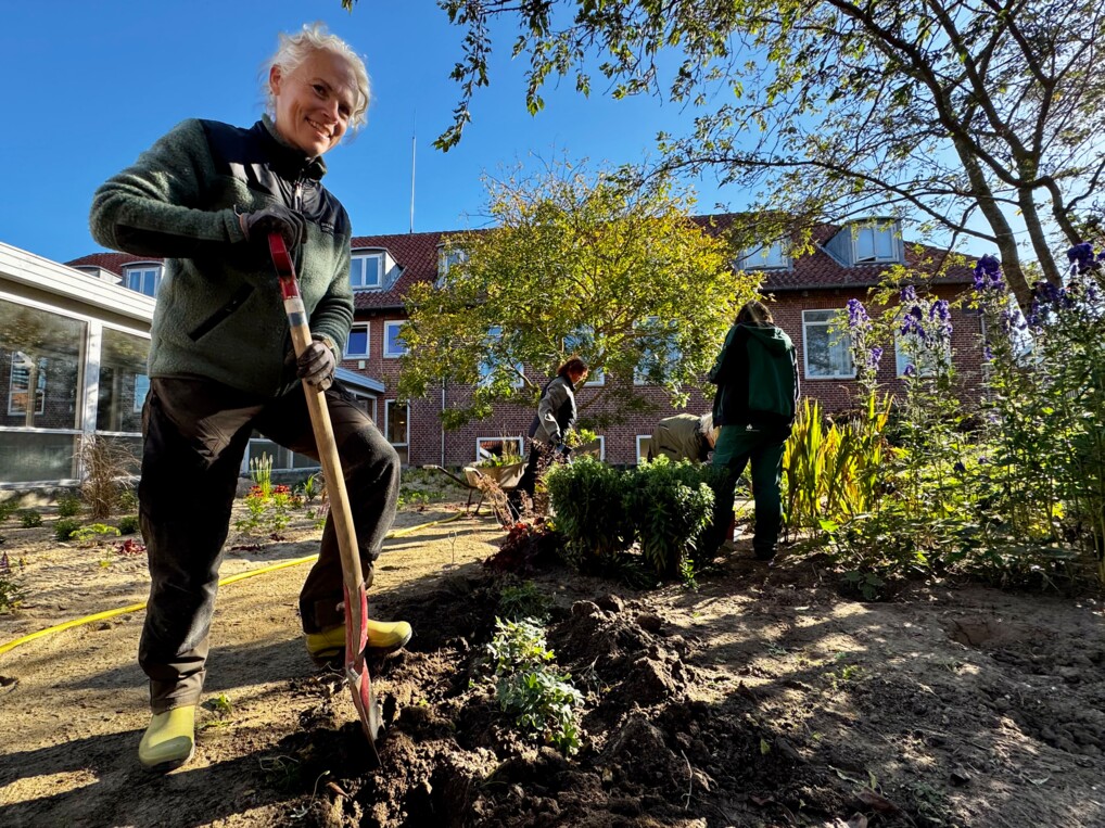 Veronica Harre stikker spaden i jorden.