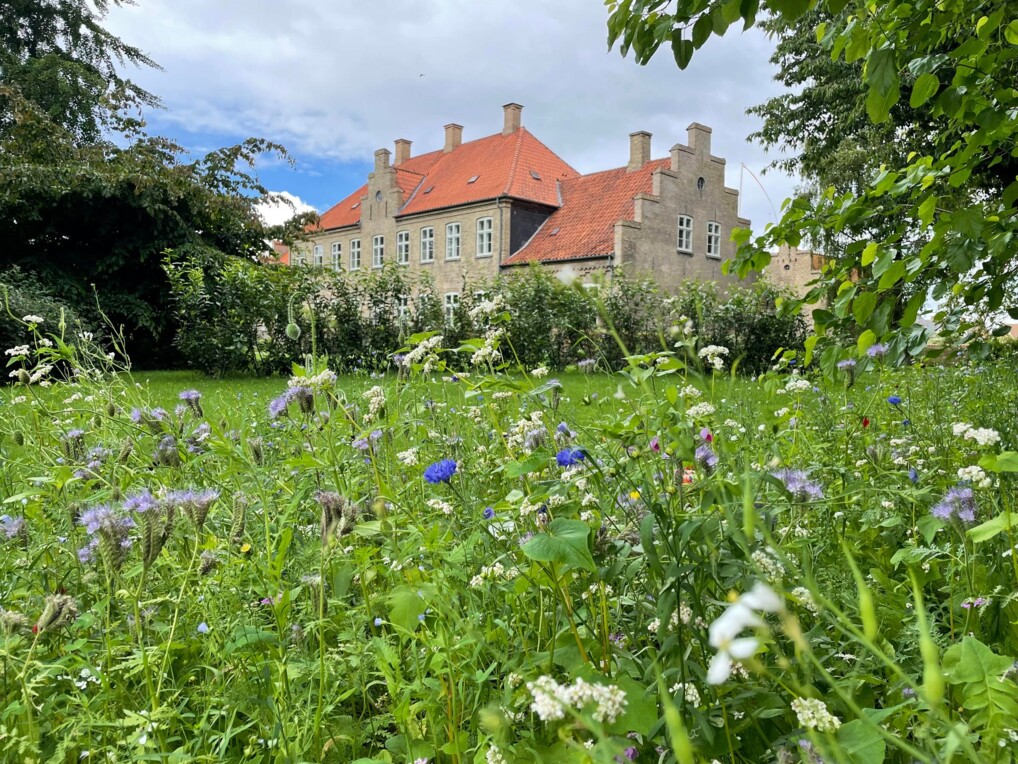 Foto af stiftet i natur